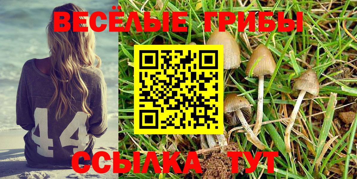 Галлюциногенные грибы Cubensis  Псилоцибиновые грибы мухоморы  Вход с VPN  Острогожск 